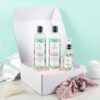 February Box Flora & Curl Scalp Refresh